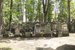 P1150852
