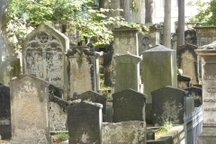 P1150858