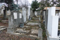 CEMENTERIO JUDIO DE SUCEAVA