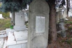 P1070361