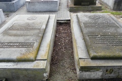 P1050061