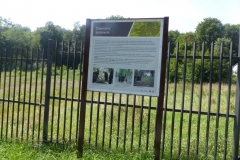 P1120727