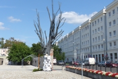 P1120844