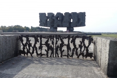P1000196