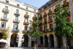 P1040826