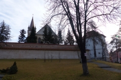 P1010541