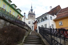 P1010574