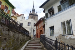 P1010576