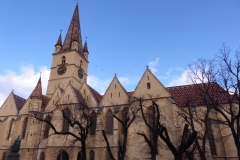 P1010650