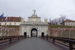 P1010678