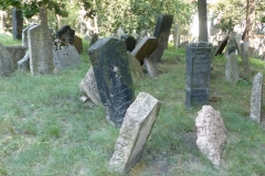 P1150705