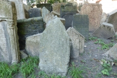P1150711