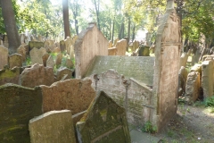 P1150735