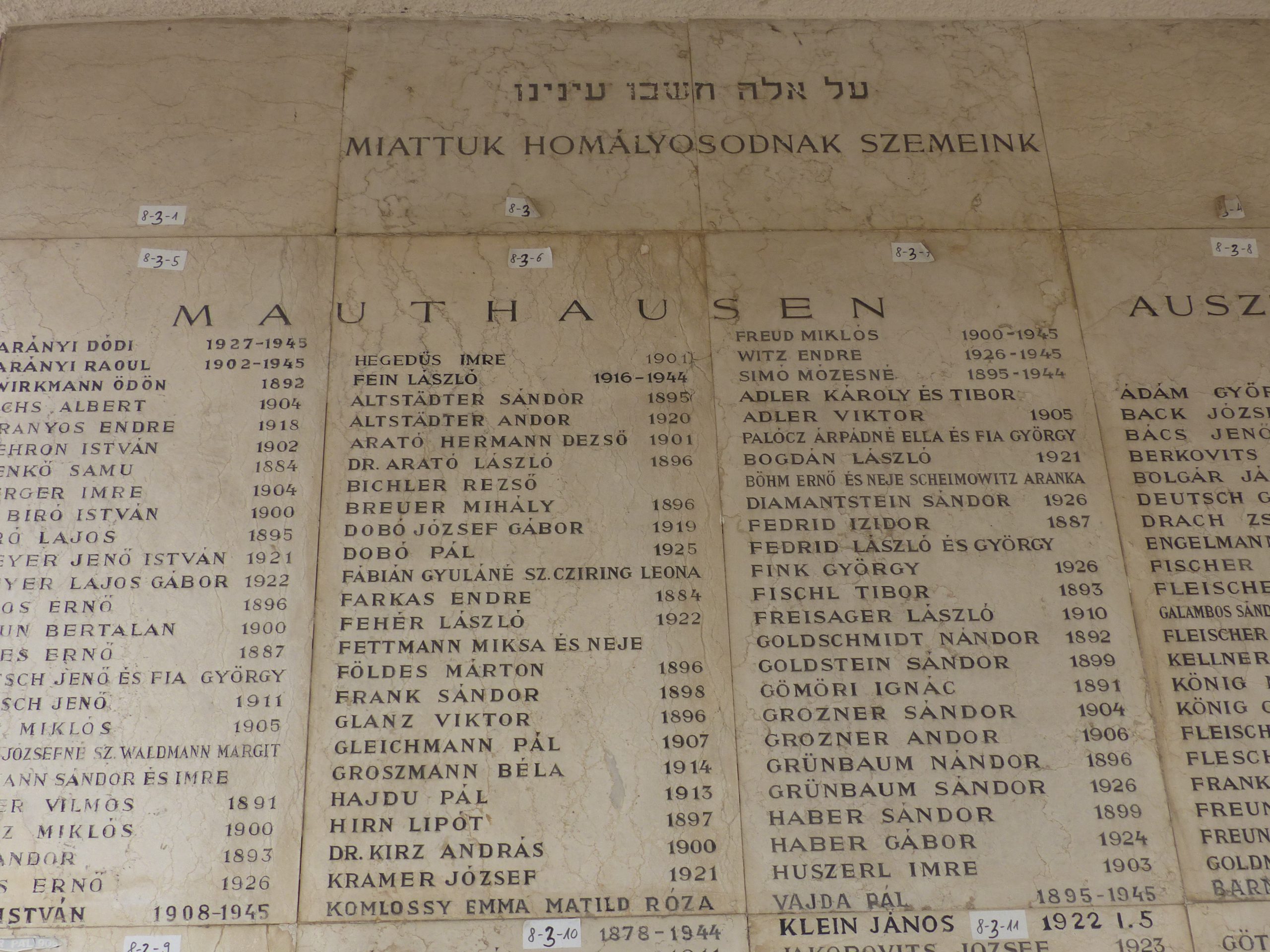 En este momento estás viendo LA SHOAH, TRAGEDIA ANUNCIADA QUE NADIE QUISO ESCUCHAR