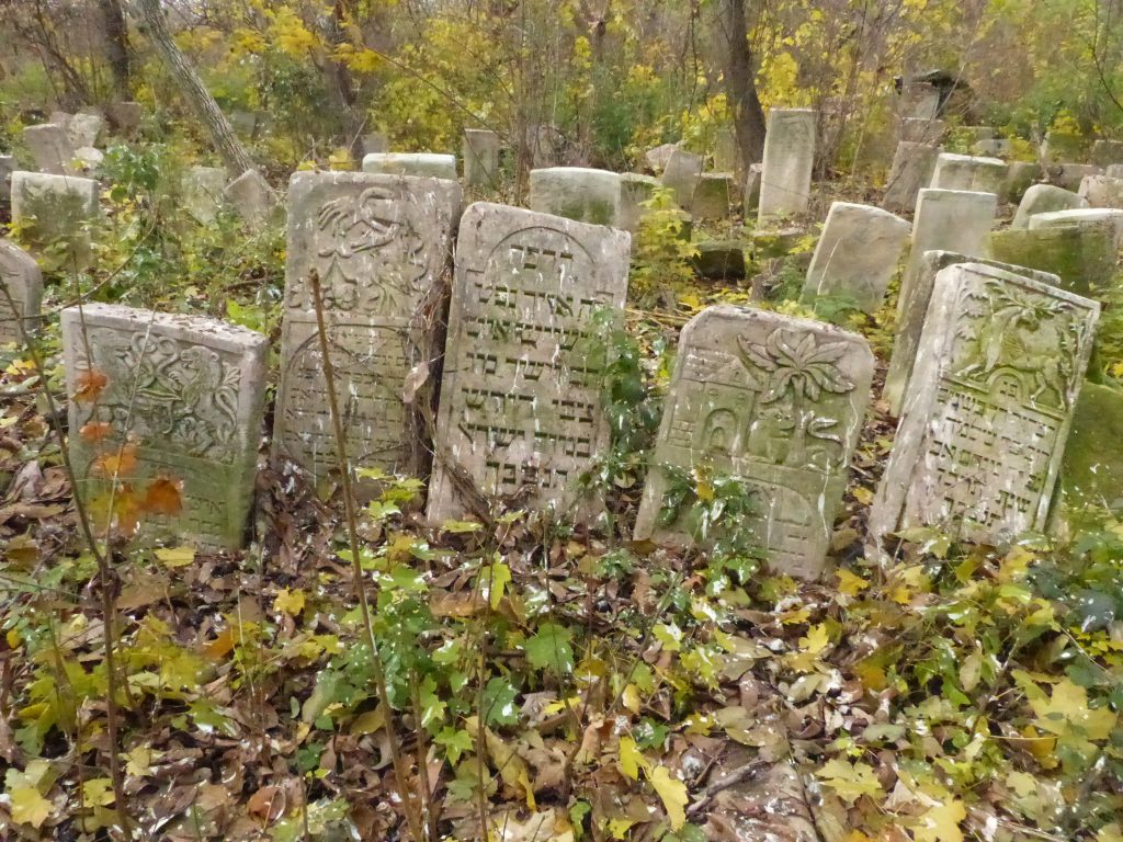 Lee más sobre el artículo CEMENTERIO DE BOTOSANI, BUCOVINA, RUMANIA