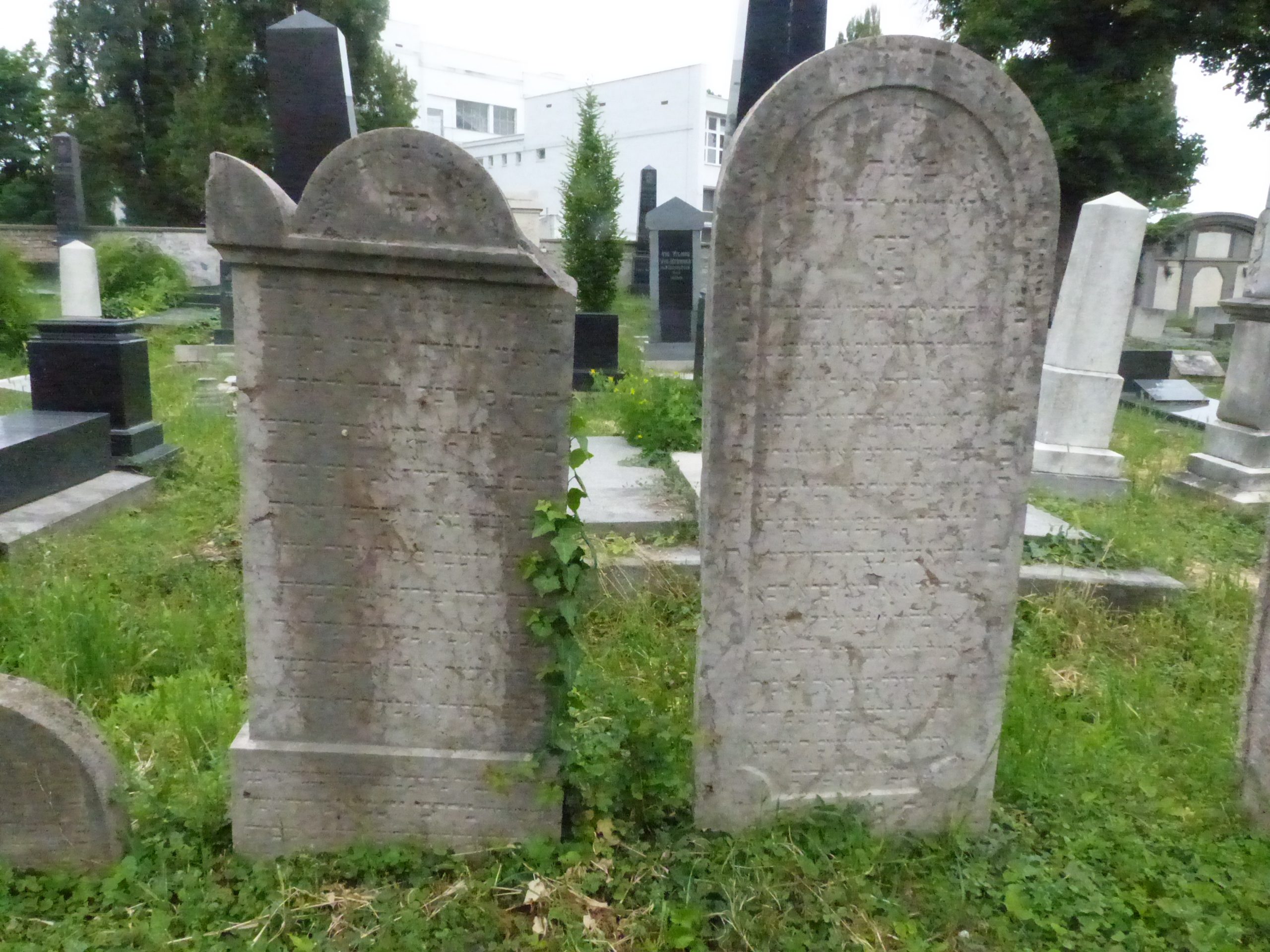En este momento estás viendo CEMENTERIO JUDIO DE NOVID SAD, VOIVODINA, SERBIA