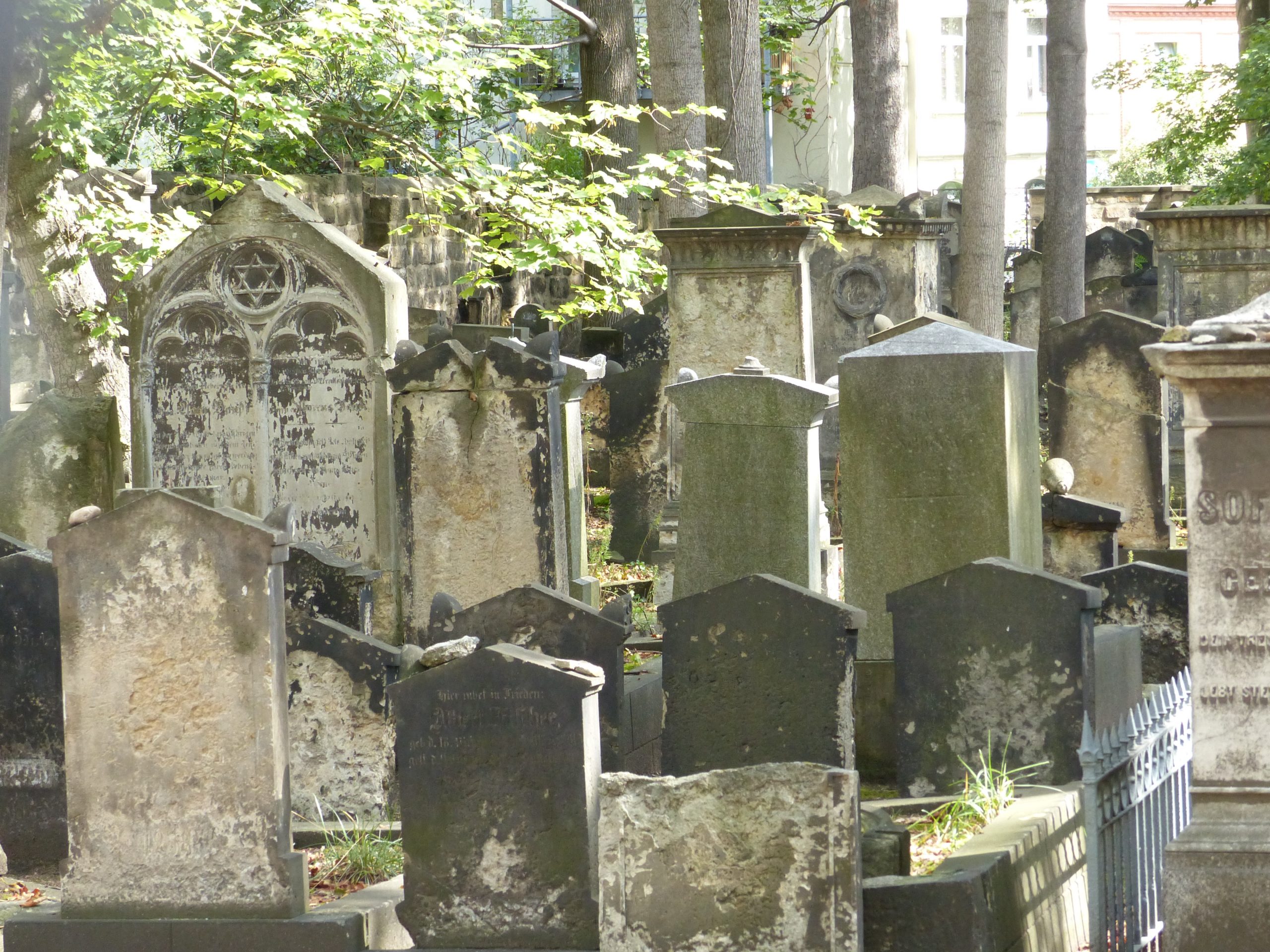 En este momento estás viendo EL ANTIGUO CEMENTERIO DE DRESDE