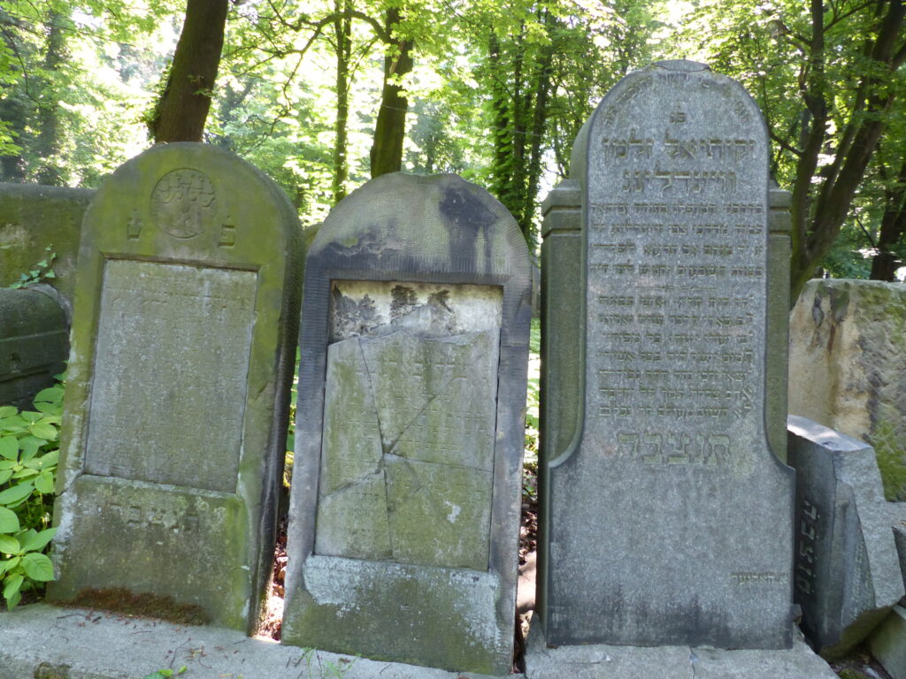 Lee más sobre el artículo NUEVO CEMENTERIO JUDIO DE CRACOVIA