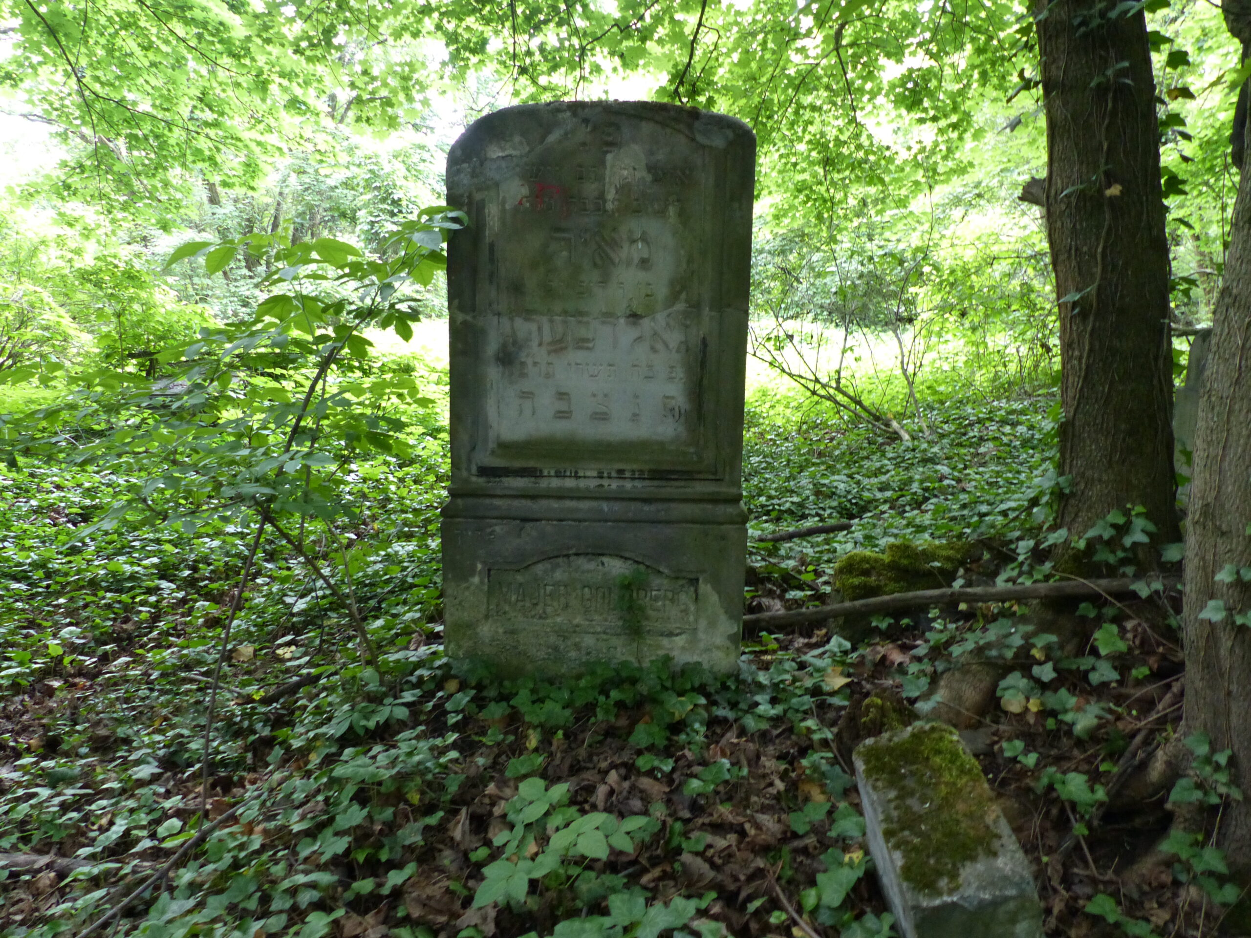 En este momento estás viendo CEMENTERIO DE LODZ (POLONIA), UNO DE LOS MÁS GRANDES DE EUROPA
