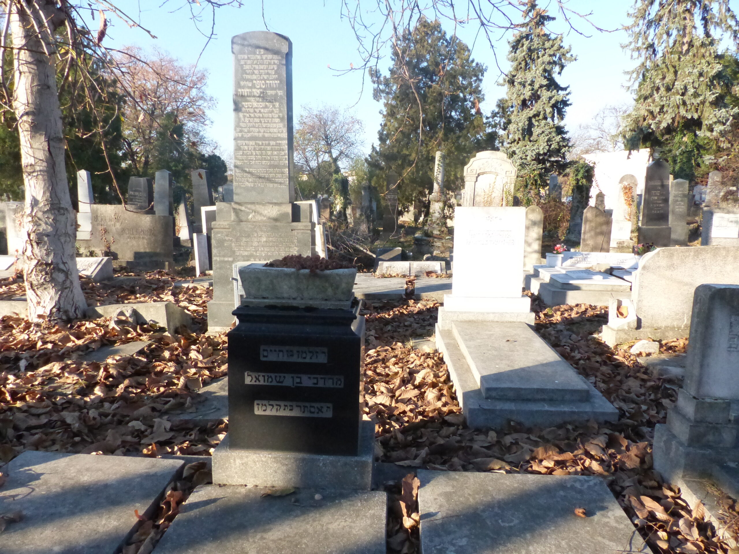 En este momento estás viendo SECCION JUDIA DEL CEMENTERIO CENTRAL DE CLUJ NAPOCA
