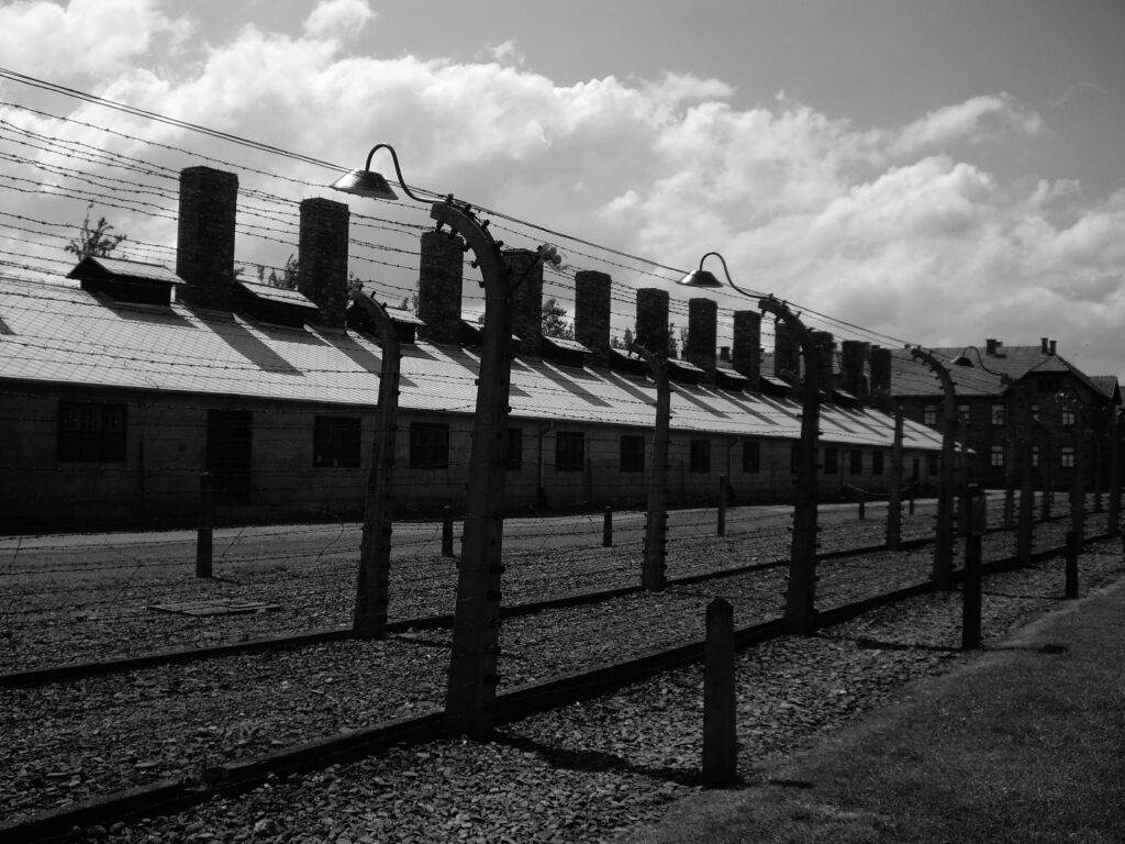 Lee más sobre el artículo EL HOLOCAUSTO GITANO: TODA LA BIBLIOGRAFÍA EN UN DOCUMENTO