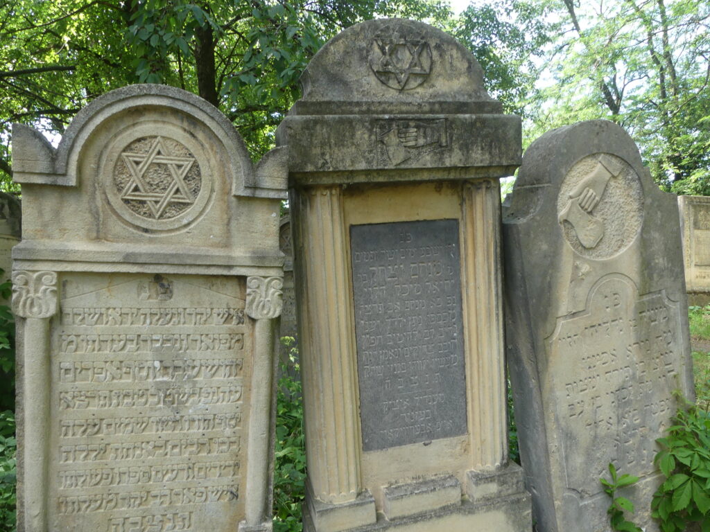 Lee más sobre el artículo EL CEMENTERIO JUDIO DE RADAUTI (BUCOVINA, RUMANIA)
